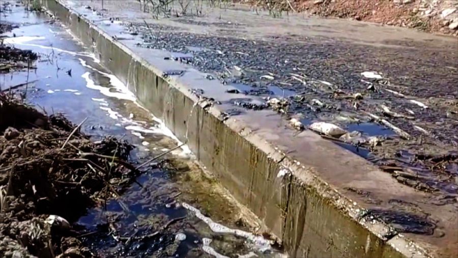 Vertidos de salmueras y nitratos en la Rambla del Albujón
