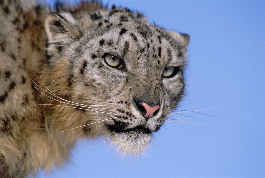 El Ganges, el río de la vida
