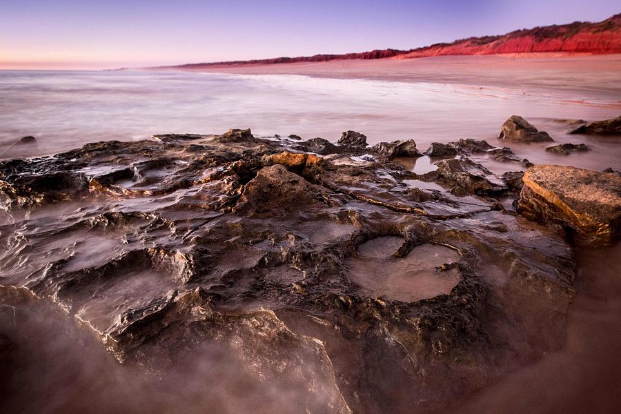Huellas de un 'Walmadanyichus hunteri', del Cretácico inferior, en las rocas de Broome Sandstone.