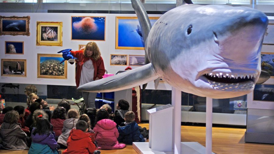 La exposición es idónea para entornos educativos y un público familiar.