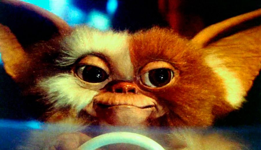 Gizmo, el protagonista de 'Los Gremlins'