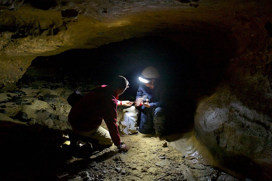 Trabajos en la cueva asturiana de El Sidrón