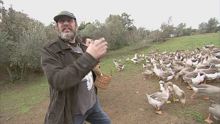 El ganso gris extremeño será el protagonista de esta semana en 'S.O.S Alimentos'