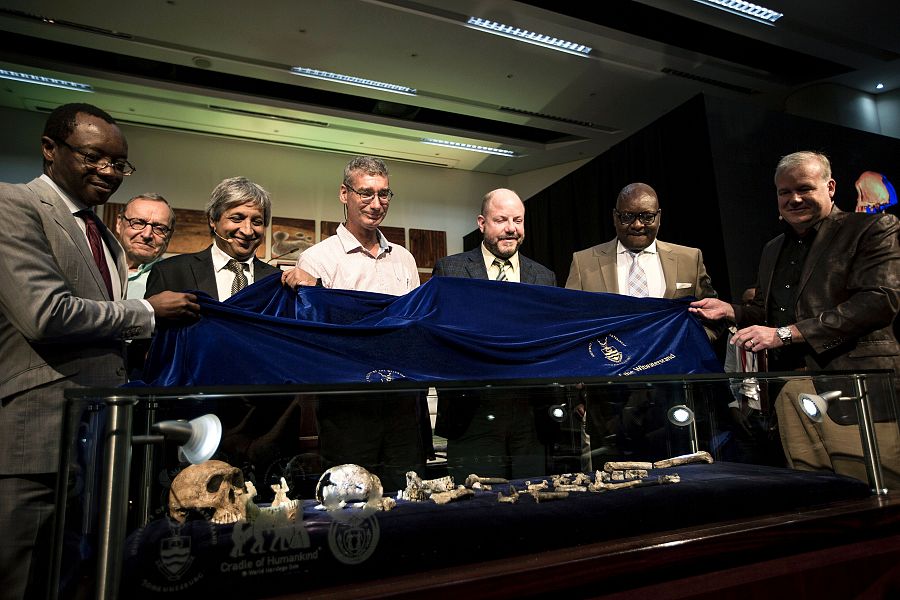 Miembros del equipo de investigadores revelan el fósil de un nuevo esqueleto de Homo naledi hallado cerca de Johannesburgo.