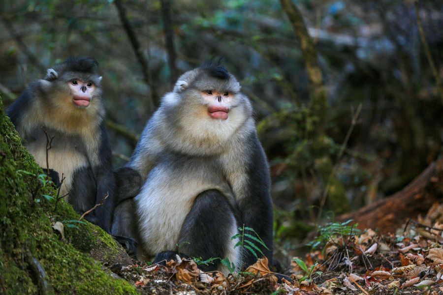 La 2 estrena la serie 