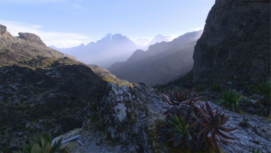 La serie muestra distintos hábitats y cómo sus habitantes han logrado sobrevivir en cada uno de ellos