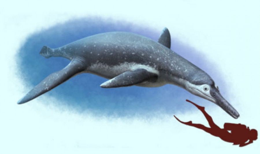 Reconstrucción del Luskhan itilensis, el tipo de pliosaurio hallado.