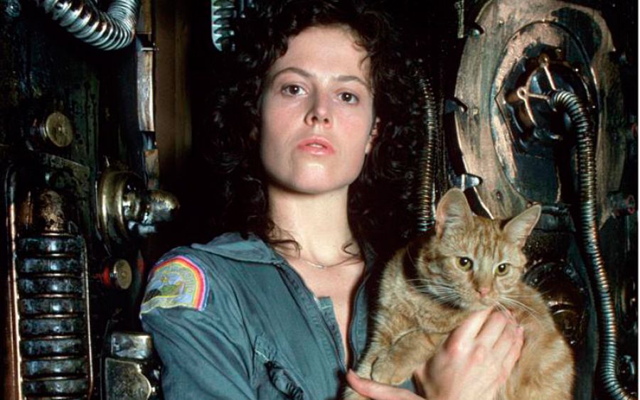 aver y Jonesy en 'Alien, el octavo pasajero'