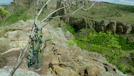 Los cañones de los ríos son un refugio de sombra y humedad