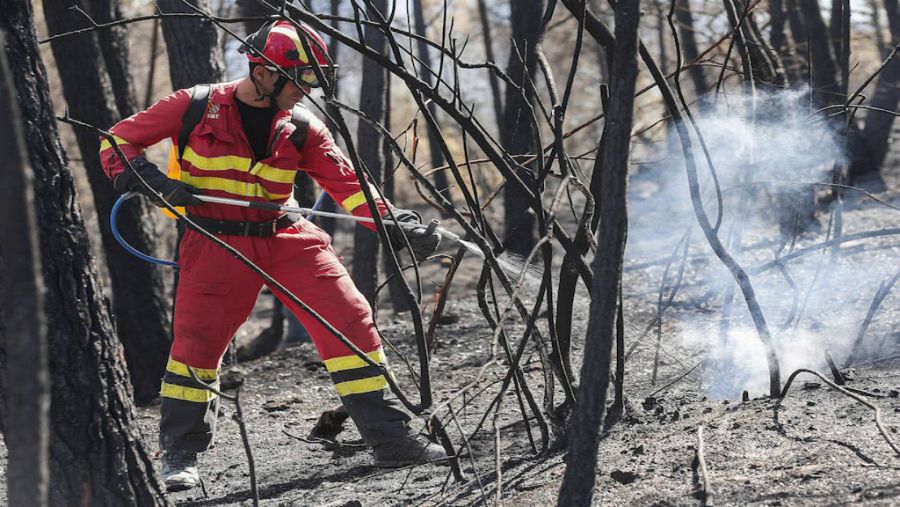 Apagando el fuego en la sierra Calderona, Castellón