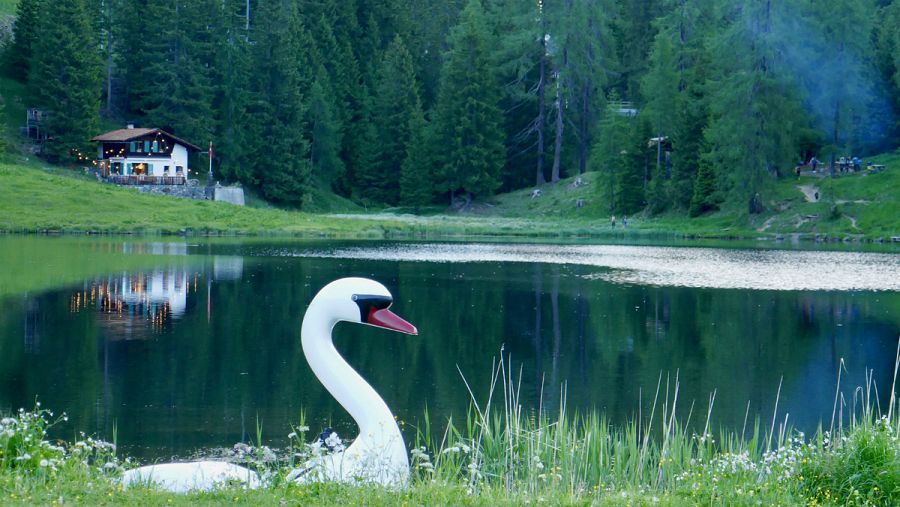 El entorno donde se encuentra el Schatzalp Hotel