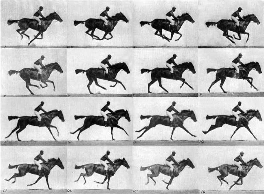 El trote de un caballo fotografiado por Eadweard Muybridge.