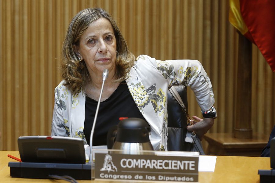 La tesorera del PP, Carmen Navarro, durante su comparecencia en el Congreso