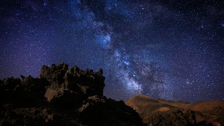 Acciones sencillas y personales ayudan de forma directa a preservar las selvas y bosques del planeta