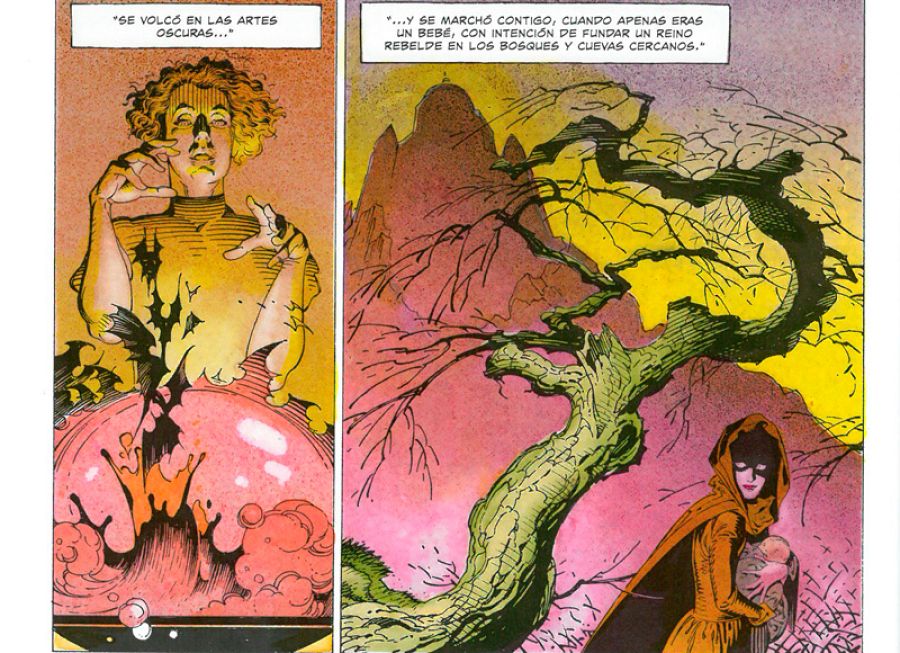 Viñetas de 'La flauta mágica'