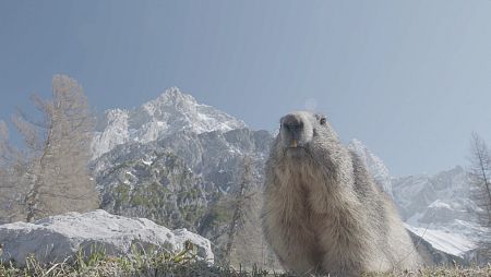 La Europa más salvaje