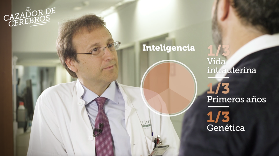 'Cazador de Cerebros'