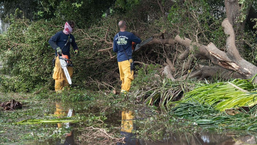 Varios operarios retiran los escombros que deja Irma en Florida