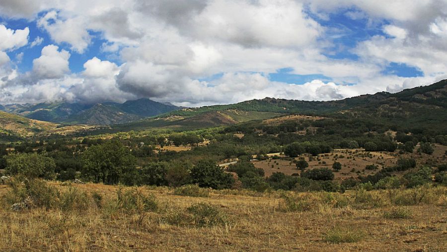 Sierra de Ayllón, un buen destino para desconectar