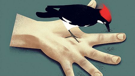 Portada de 'Salvavida (de las balas perdidas)'