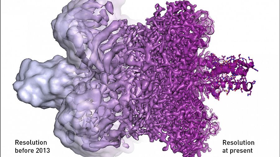 Imagen del cambio de visualización de biomoléculas antes y después del desarrollo de la técnica