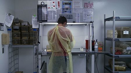 Laboratrio de investigación