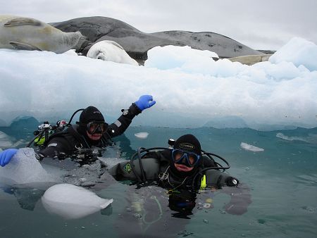 En el mar se llevarán a cabo actividades como buceo, kayak o apnea