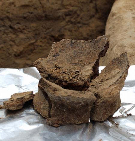 Fragmento de una vasija del Neolítico lista para el análisis de residuos.