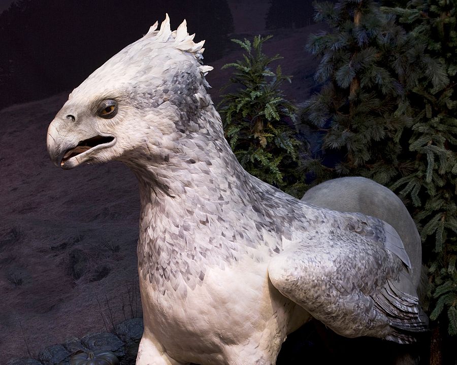 Smart Home Exhibit @ The Museum of Science and Industry