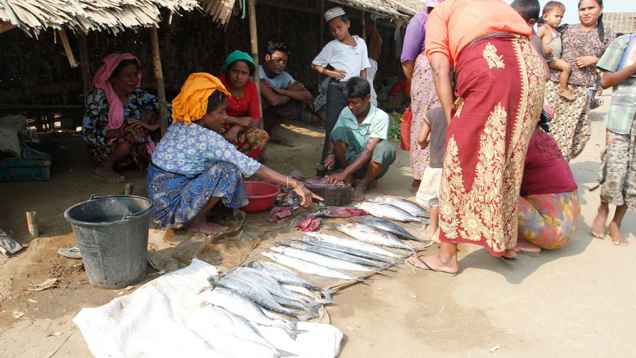 El acceso a los mercados y centros urbanos está restringido para los rohingya