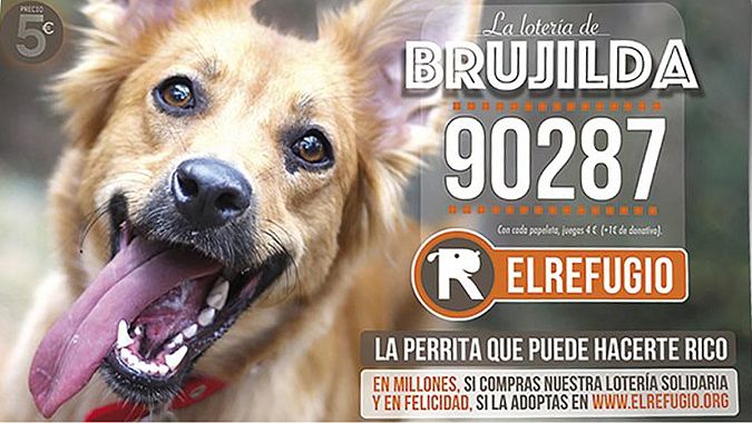 Papeleta de Lotería de Navidad con el número elegido por Brujilda