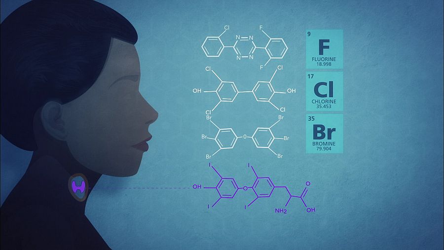 Epidemiólogos y endocrinos revelan la existencia de una conexión, entre la exposición a estas sustancias químicas nocivas y los pesticidas con el desarrollo cerebral.