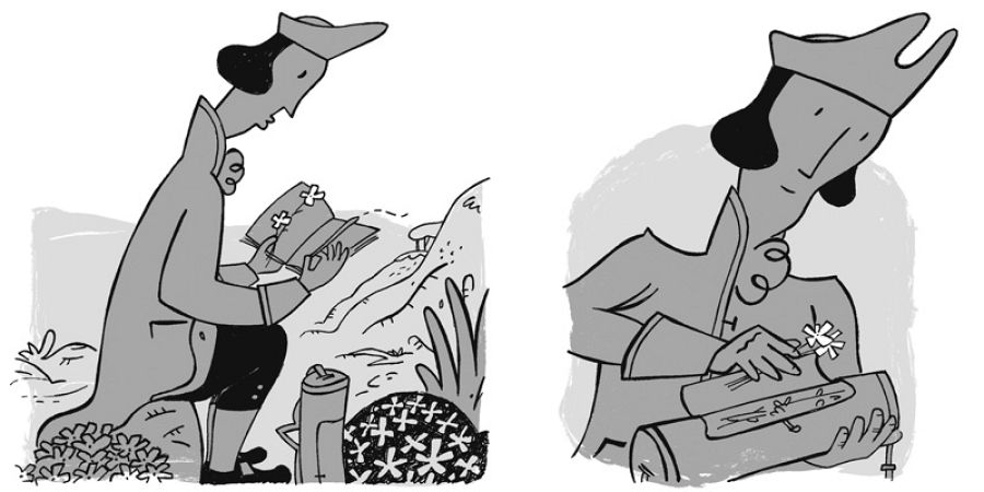 Viñetas de 'Yo fuí guía en el infierno'