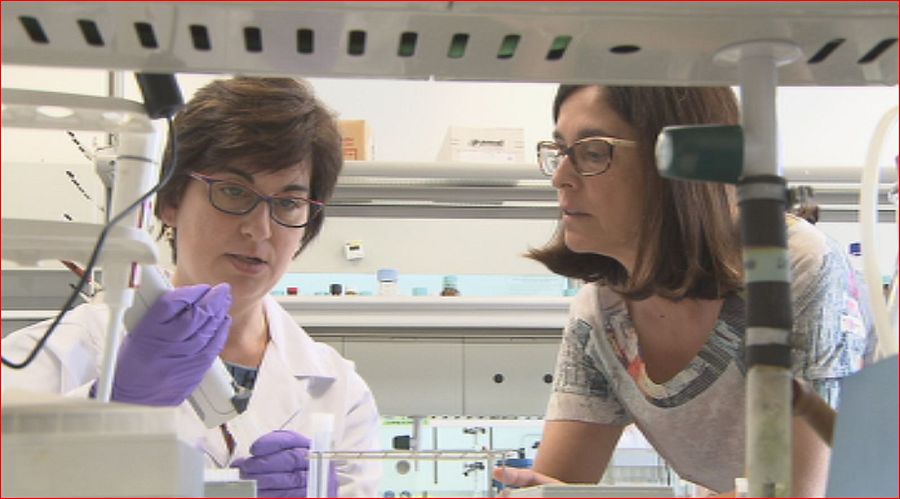 En el IQAC investigan enfermedades  como la artritis reumatoide