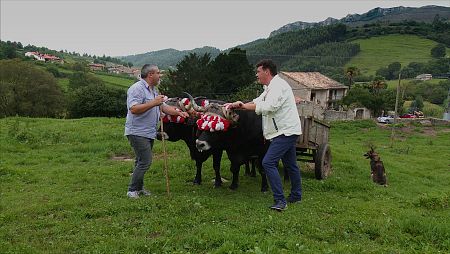 El programa comienza en la comarca cántabra de Saja-Nansa para conocer su gastronomía