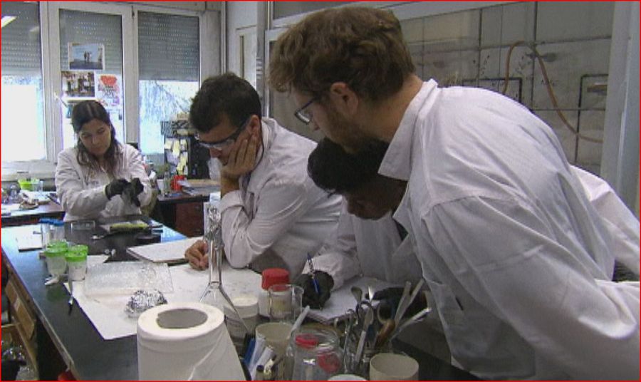 Investigadores del ICTP-CSIC