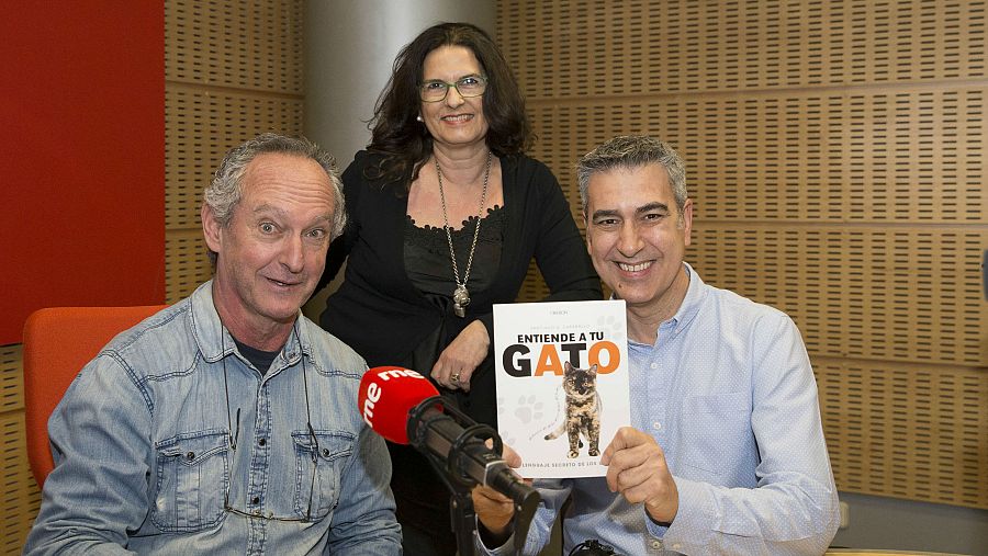 Otra imagen de los últimos invitados en 'Memoria de delfín'