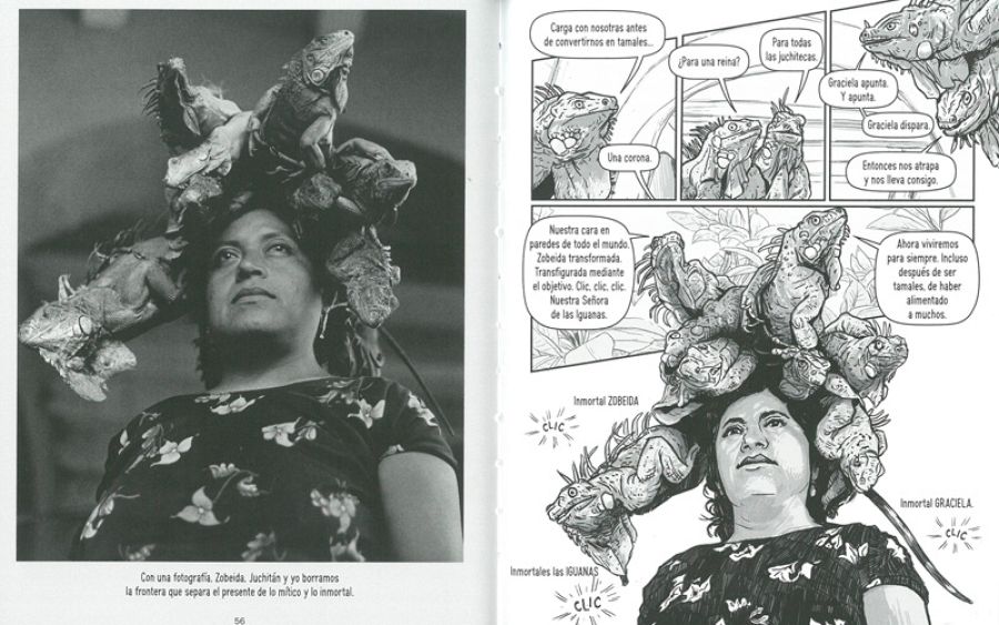 Páginas de 'Iguana Lady'