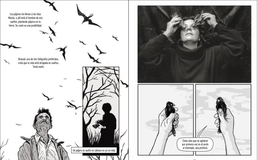 Páginas de 'Iguana Lady'