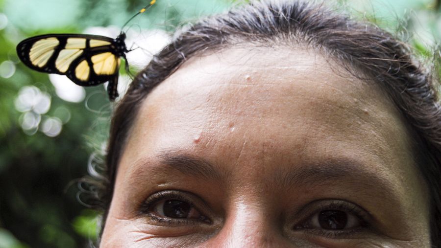 Una mariposa posada sobre la cabeza de María Bustamante, gestora del mariposario de Palestina