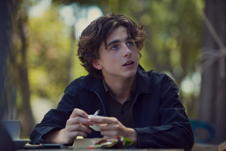 Timothée Chalamet en 'Lady Bird'.