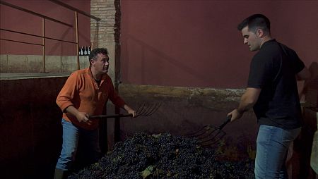 El chef experimentará en primera persona el pisado de uva