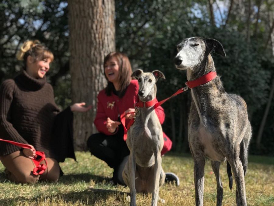 El programa busca la mascota més divertida, més sorprenent, més tendra de Catalunya
