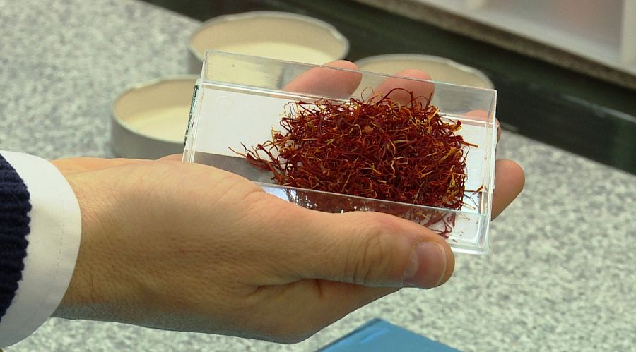 Comando Actualidad - 