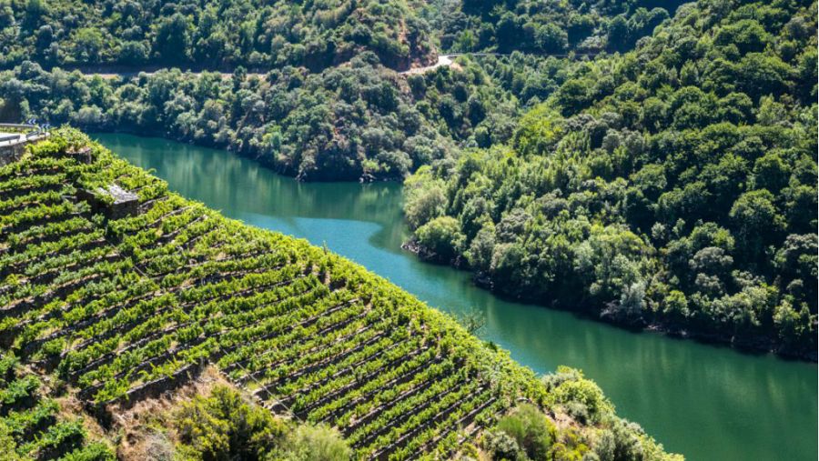 El próximo disco del grupo gallego está dedicado a La Ribeira Sacra.