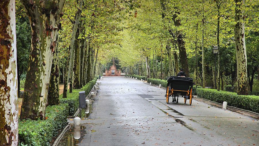 Parque de María Luisa (Sevilla)