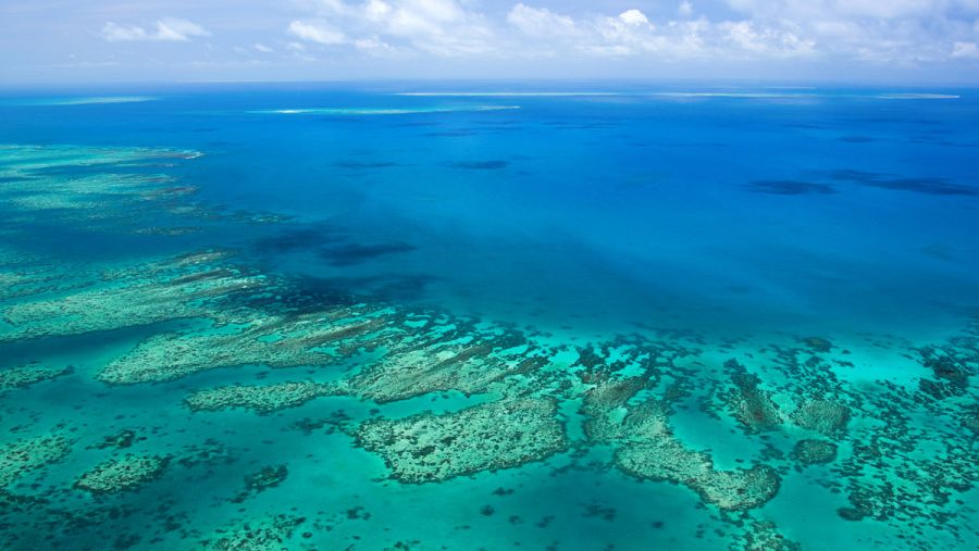 La Gran Barrera de Coral