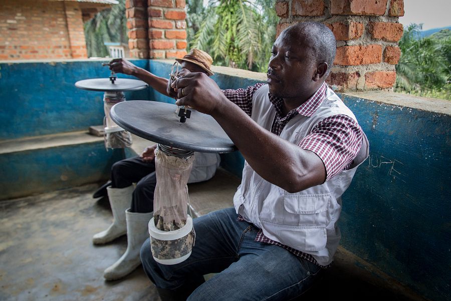 Además de las investigaciones a nivel global, los entomólogos de MSF intentan buscar soluciones concretas sobre el terreno para evitar más muertes. Firma: Marta Soszynska / MSF.