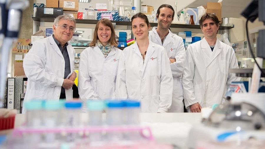 Equipo de investigadores de IDIBAPS que ha llevado a cabo el descubrimiento. Francisco Avia / IDIBAPS