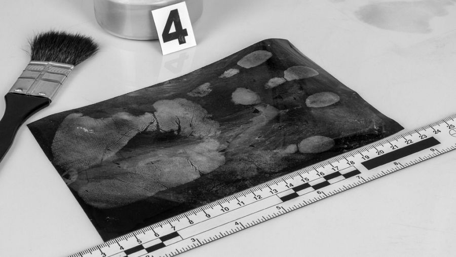 La ciencia forense es clave en la resolución de crímenes.